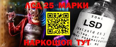 эйфоретик Берёзовский