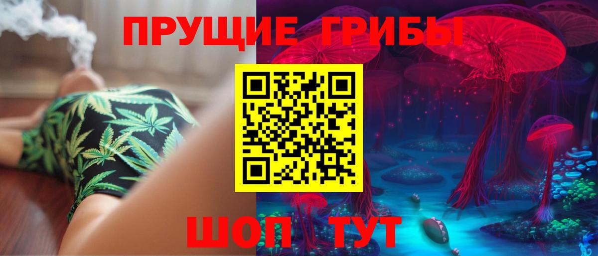 Камышлов  Псилоцибиновые грибы мицелий  купить наркотик  Вход с VPN 
